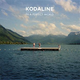 In a perfect world - Front Cover