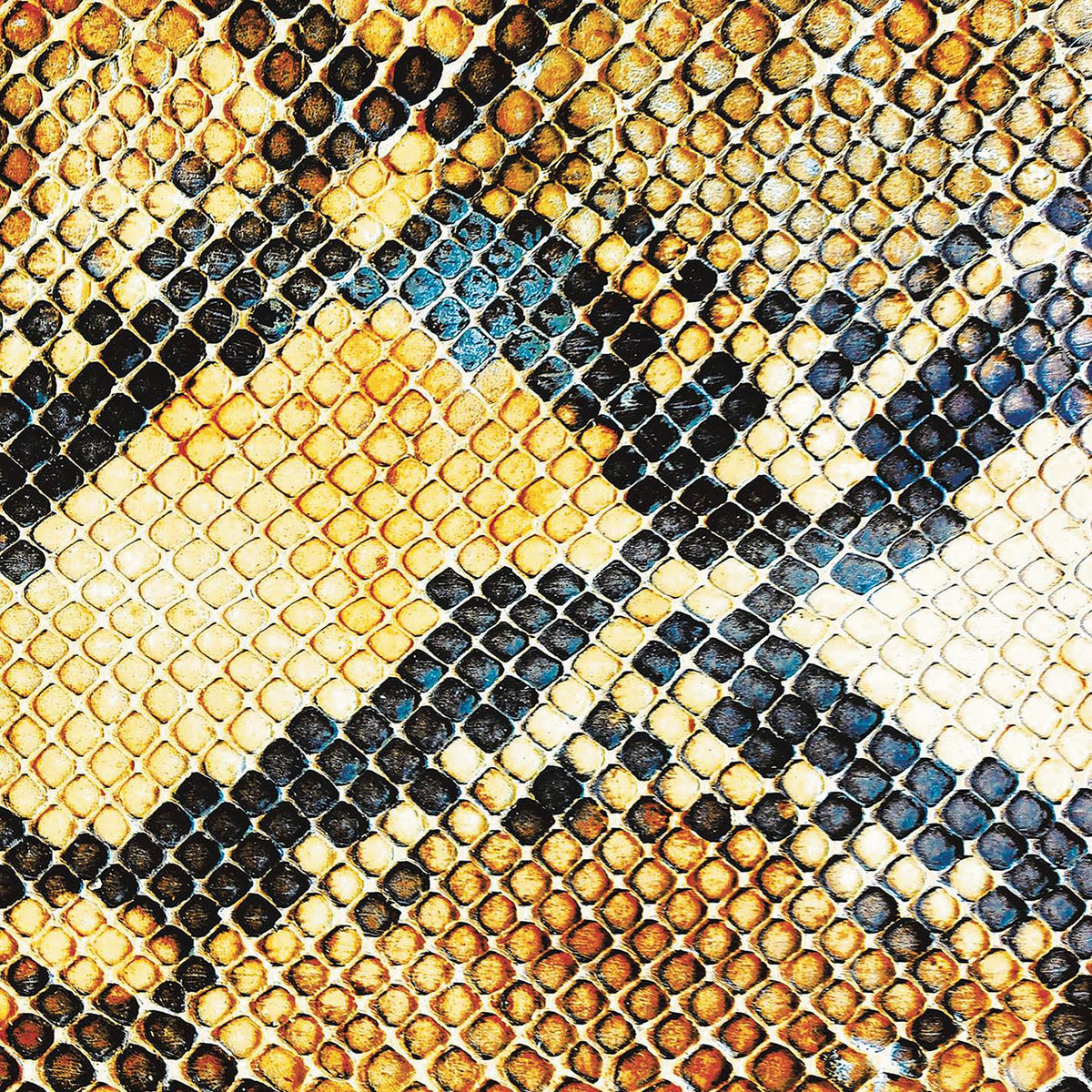 Amphetamine Ballads - Front Cover