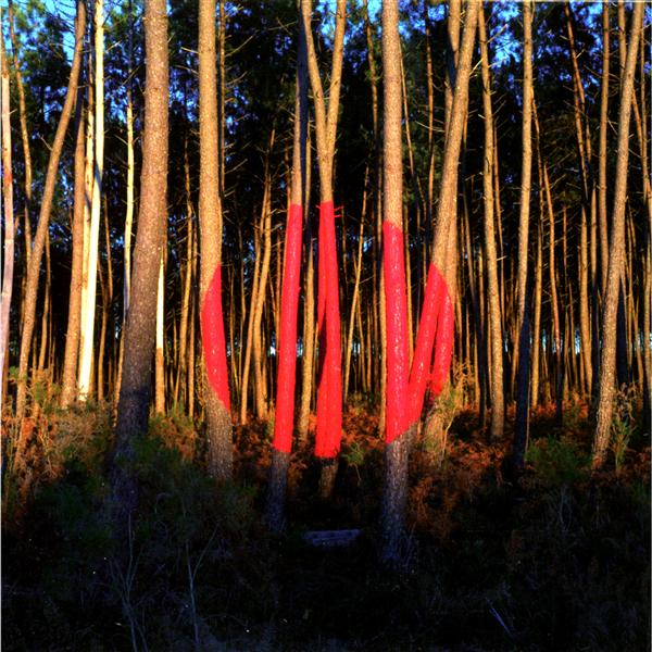 Piano ombre - Front Cover