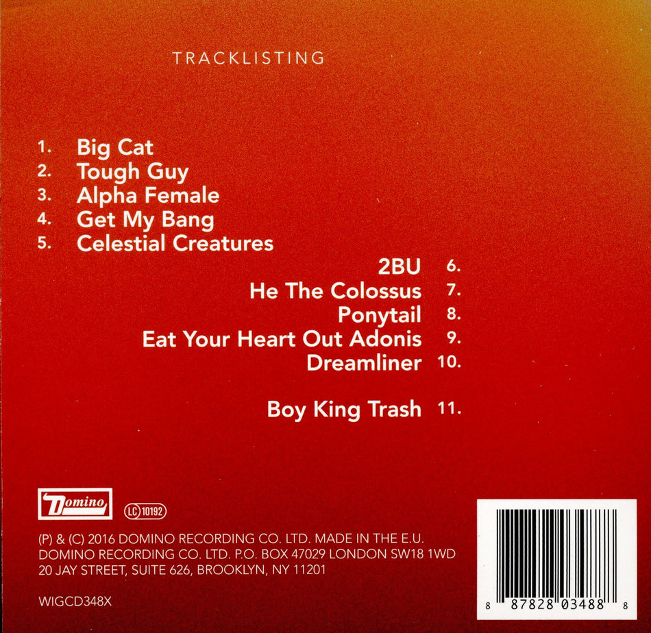 Boy King - Back Cover
