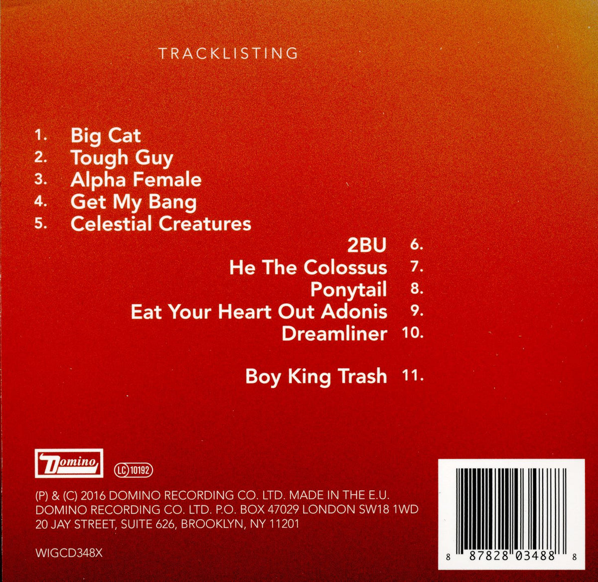 Boy King - Back Cover
