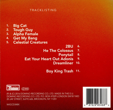 Boy King - Back Cover