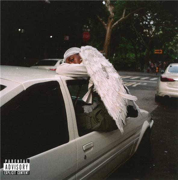 Negro swan - Front Cover
