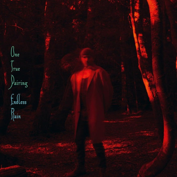 Endless Rain - Front Cover