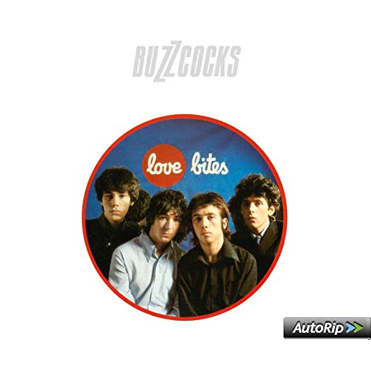 Love Bites - Front Cover