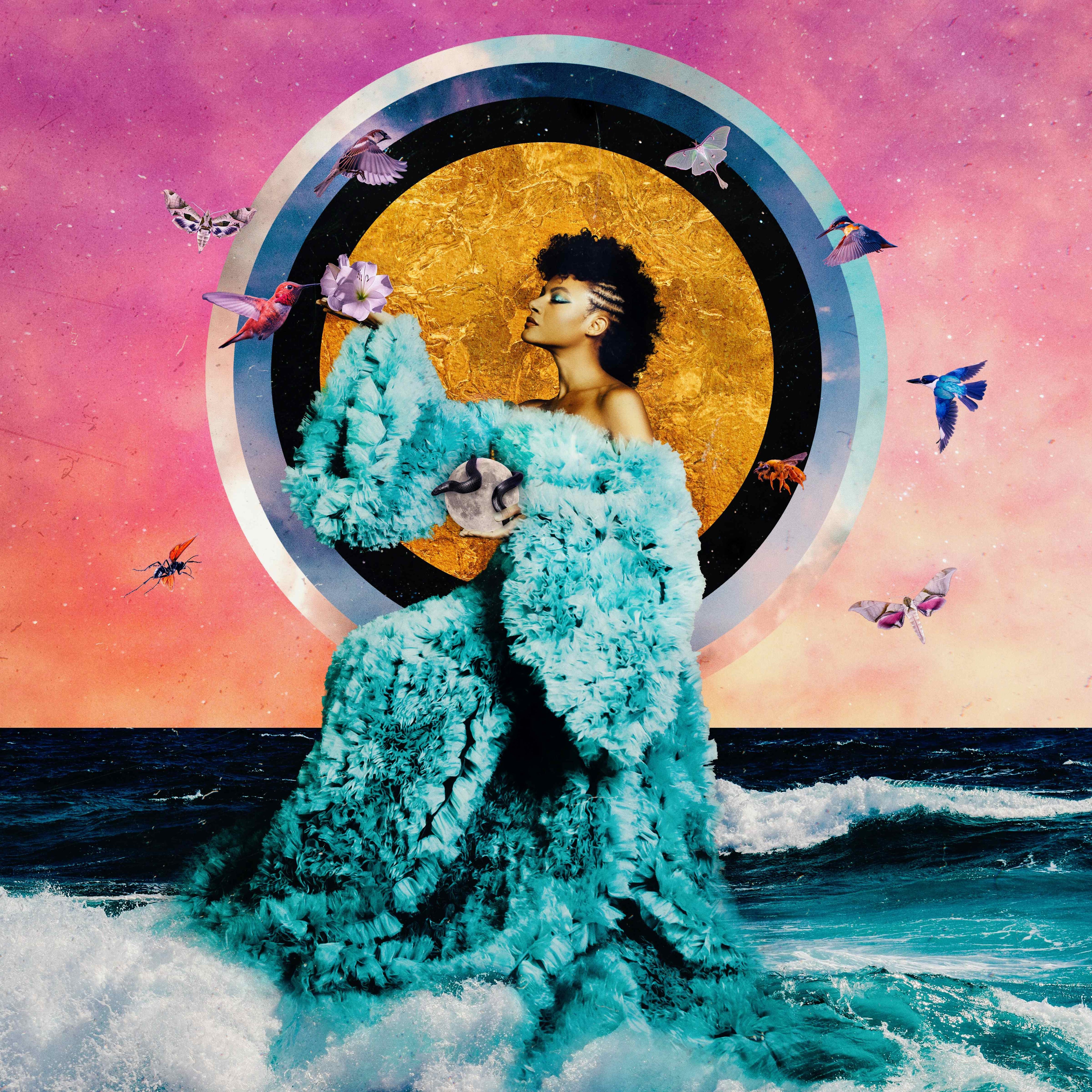 The Returner - Front Cover