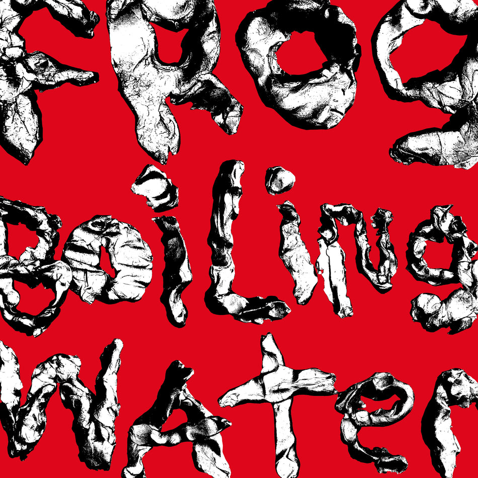 Frog In Boiling Water - Front Cover
