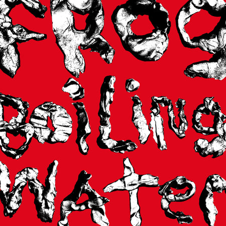 Frog In Boiling Water - Front Cover