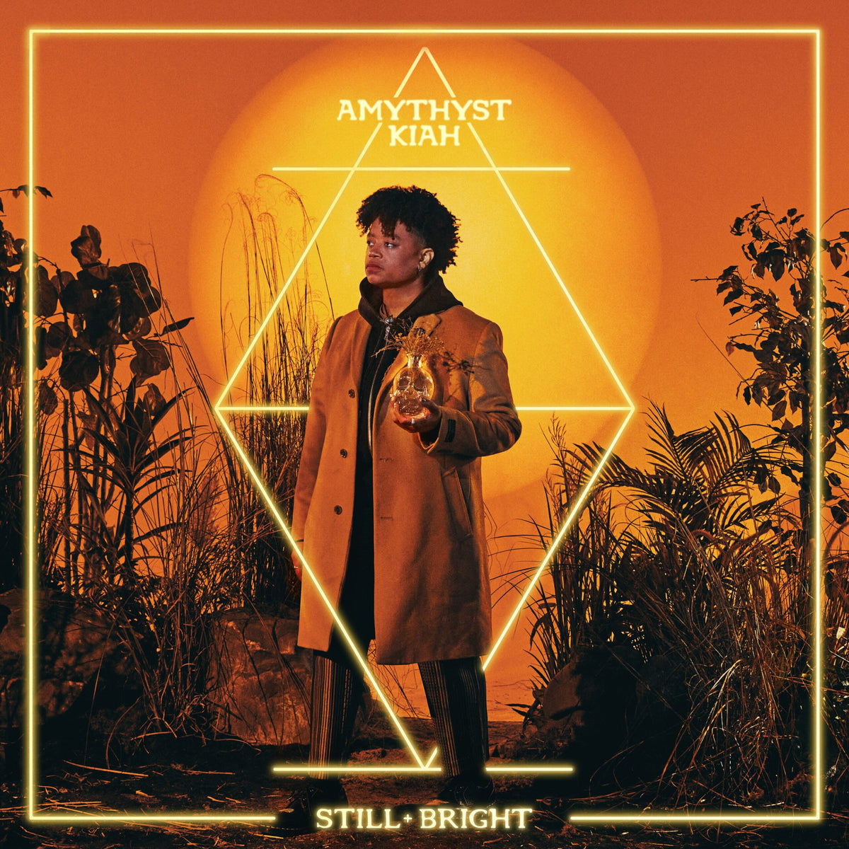 Still + Bright - Front Cover