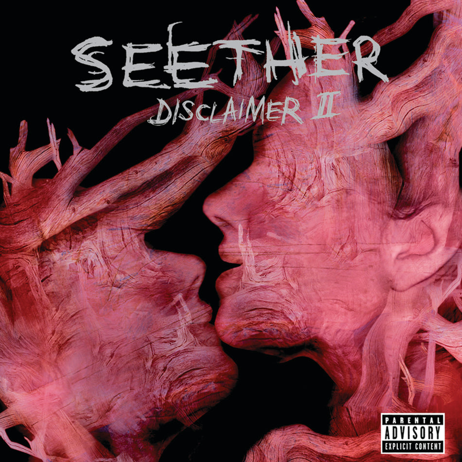 Disclaimer II - Front Cover