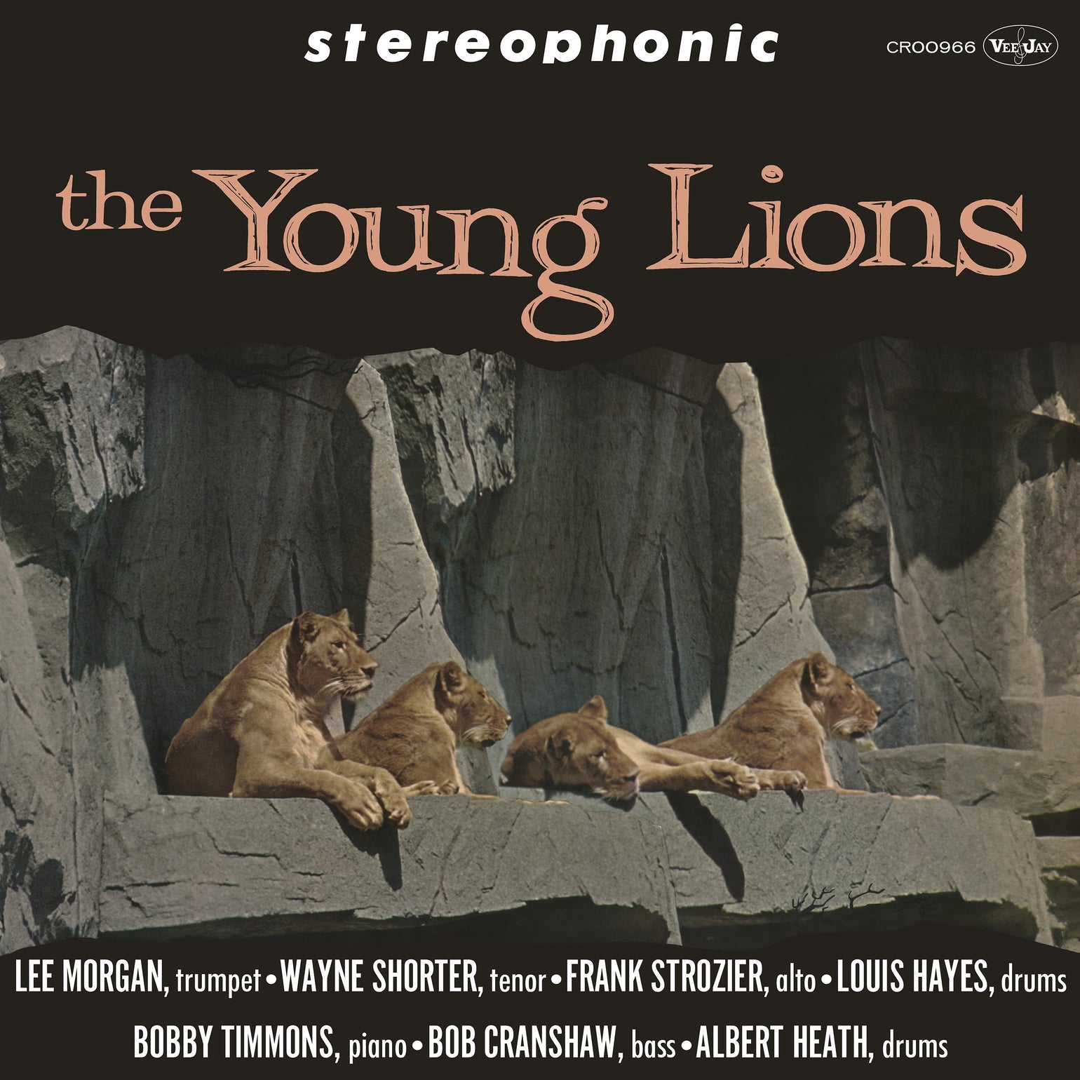 The Young Lions - Front Cover