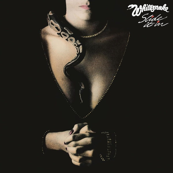 Slide It In - Front Cover