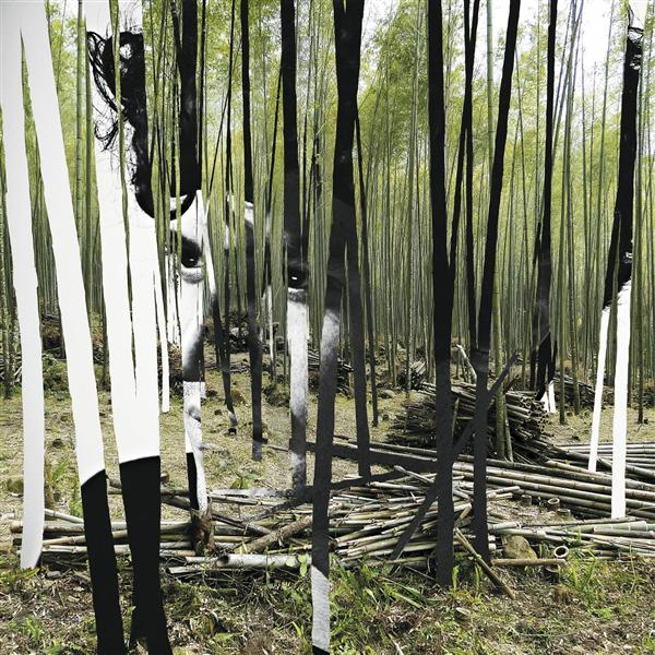 The green tiger's alibi - Front Cover