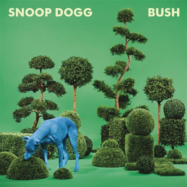 Bush - Front Cover