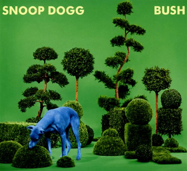 Bush - Front Cover