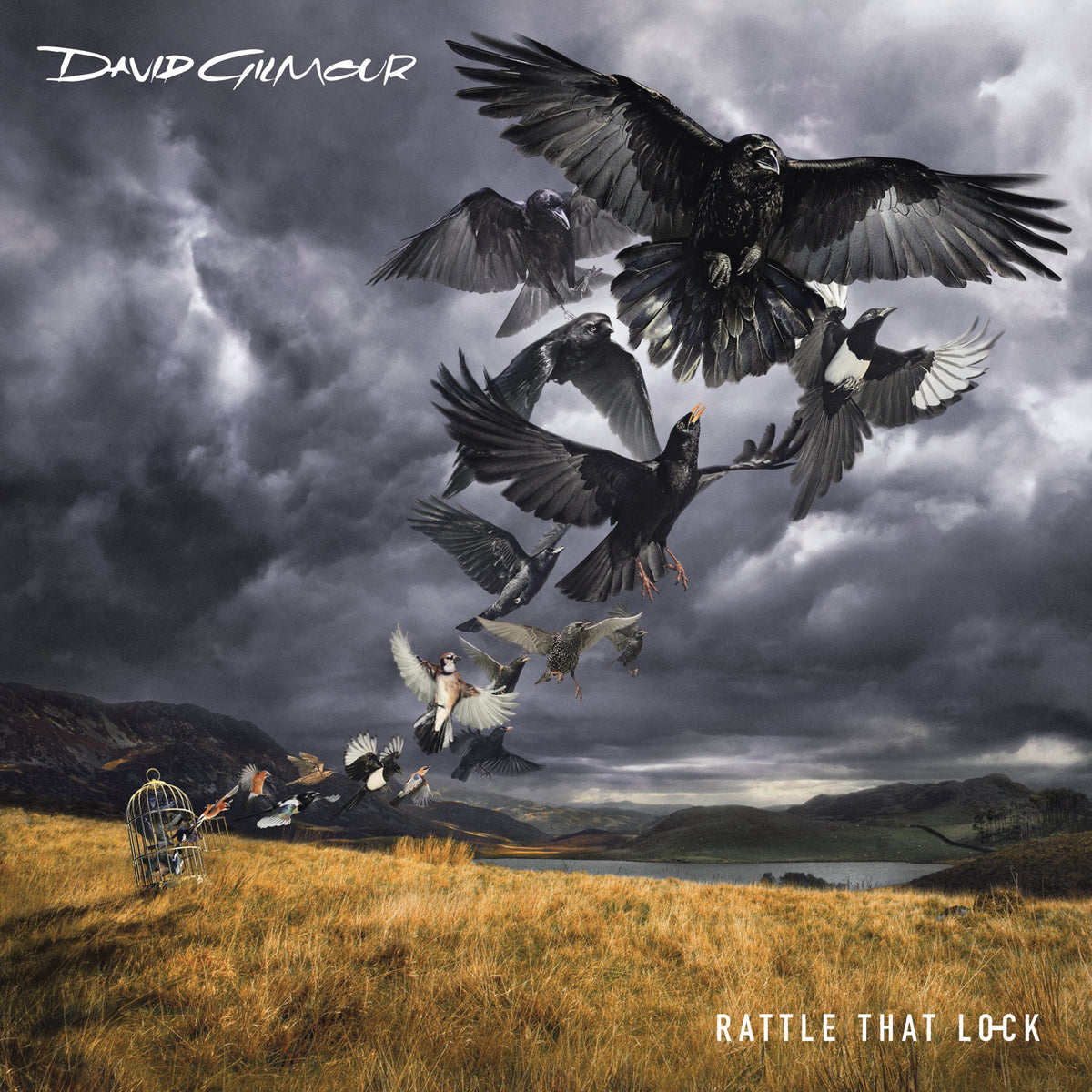 Rattle That Lock - Front Cover