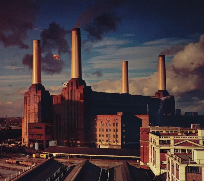 Animals - Front Cover