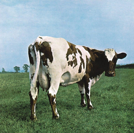 Atom Heart Mother - Front Cover