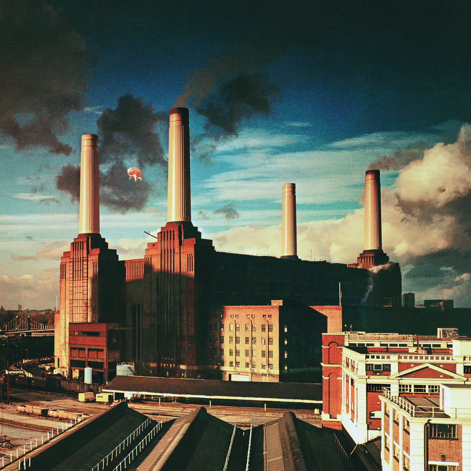Animals - Front Cover