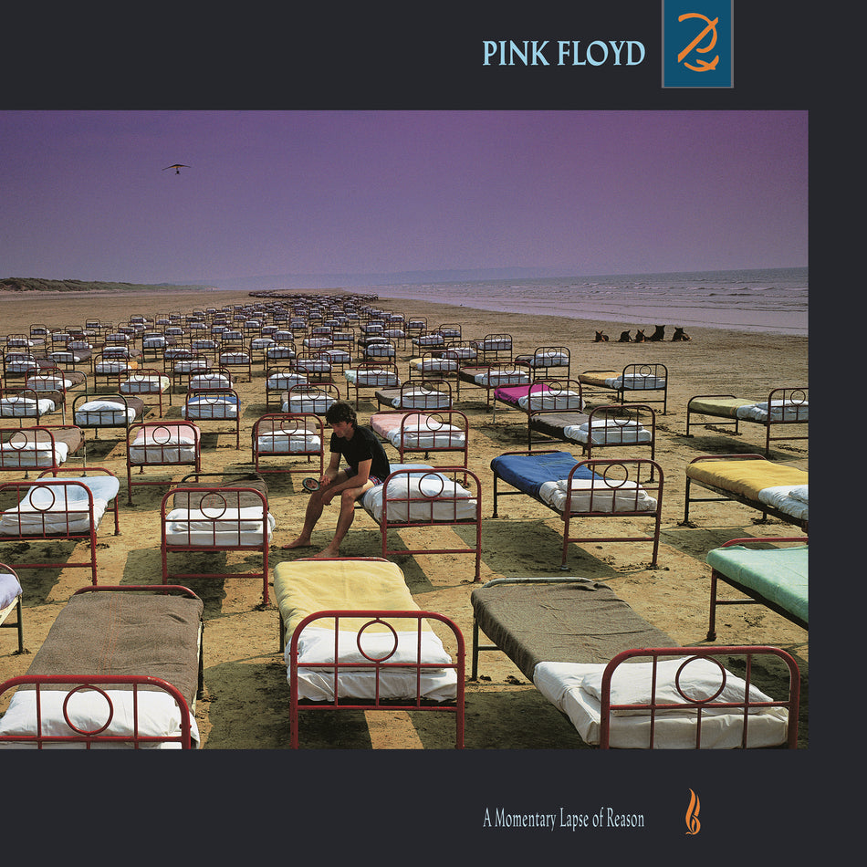 A Momentary Lapse of Reason - Front Cover