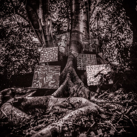 HARMONY OF DIFFERENCE - Front Cover