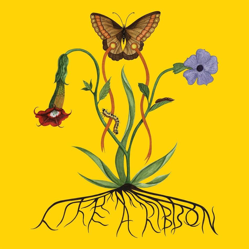 LIKE A RIBBON - Front Cover