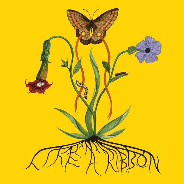 Like A Ribbon - Front Cover