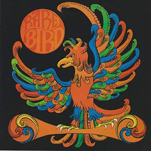 Rare Bird - Front Cover