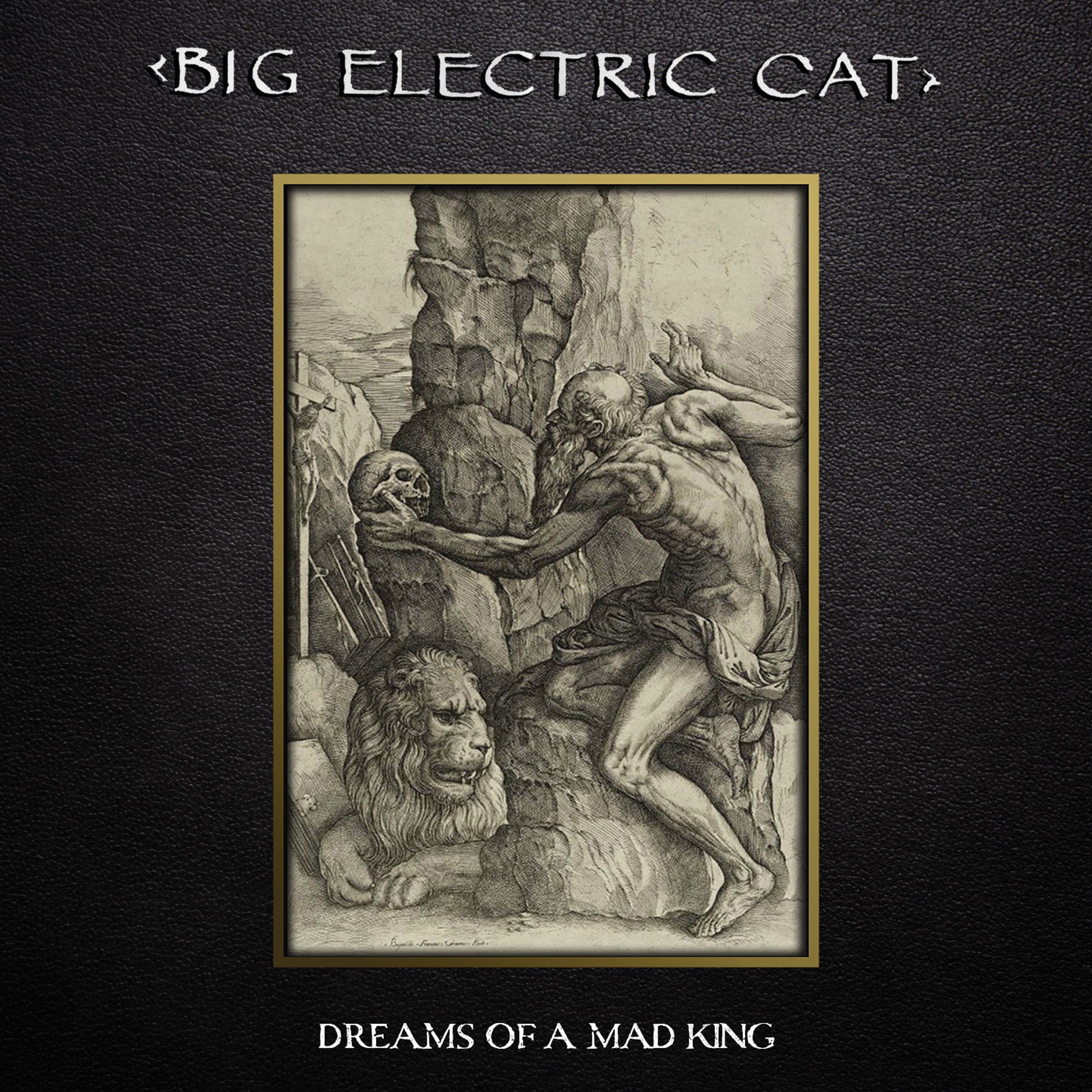 Dreams Of A Mad King - Front Cover