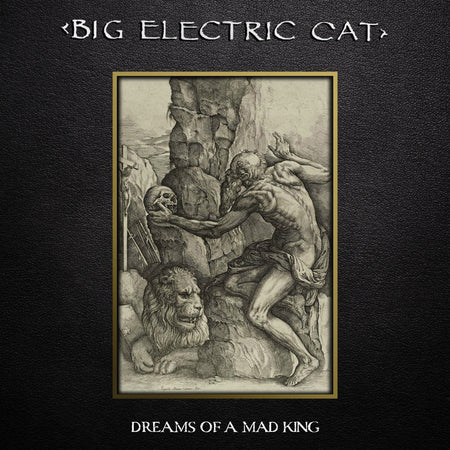 Dreams Of A Mad King - Front Cover