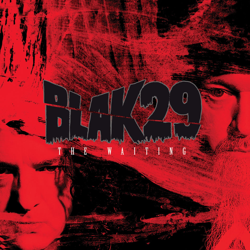 The Waiting - Front Cover