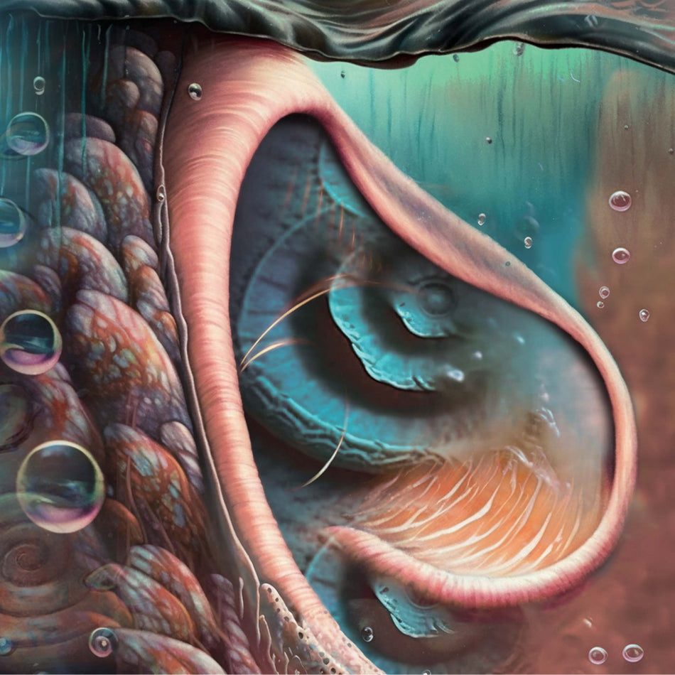 Meddle Reimagined - A Tribute To Pink Floyd - Front Cover