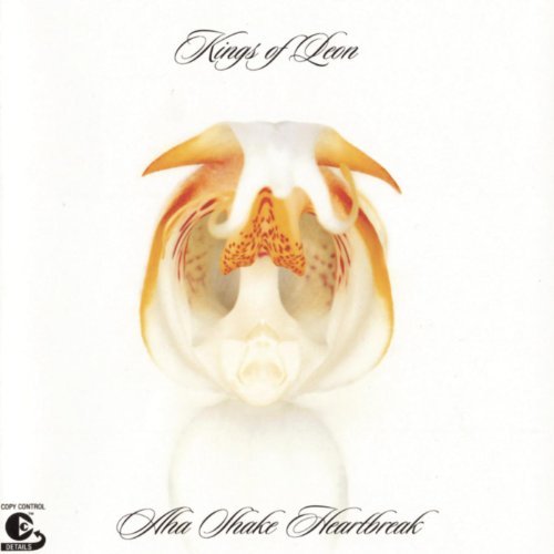 Aha Shake Heartbreak - Front Cover