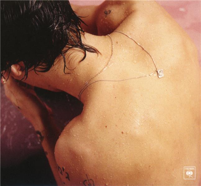 Harry Styles - Front Cover