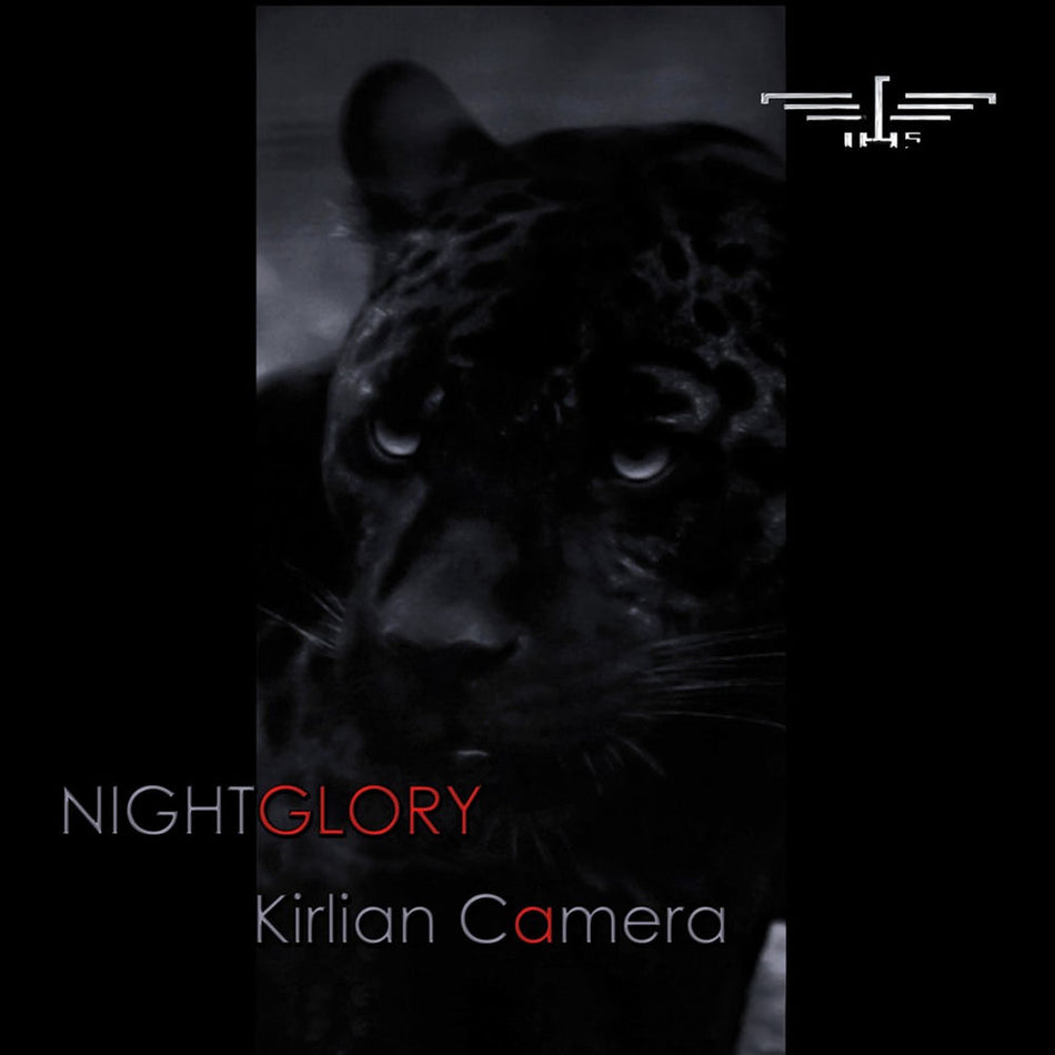 Nightglory - Front Cover