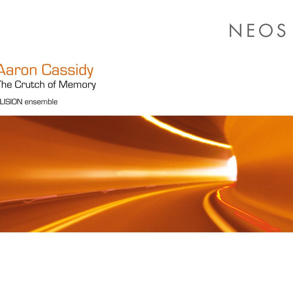 The crutch of memory - Front Cover