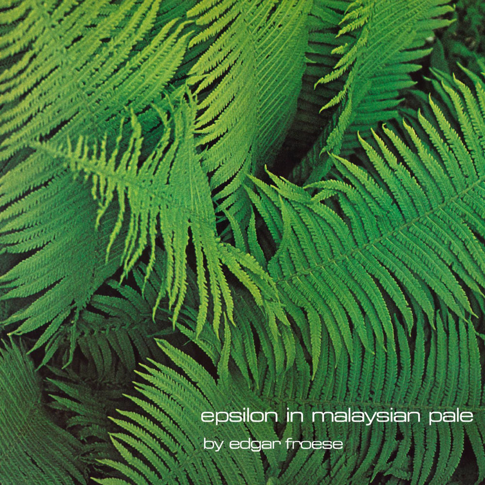 Epsilon In Malaysian Pale Édition Limitée Vinyle Vert Marbré - Front Cover