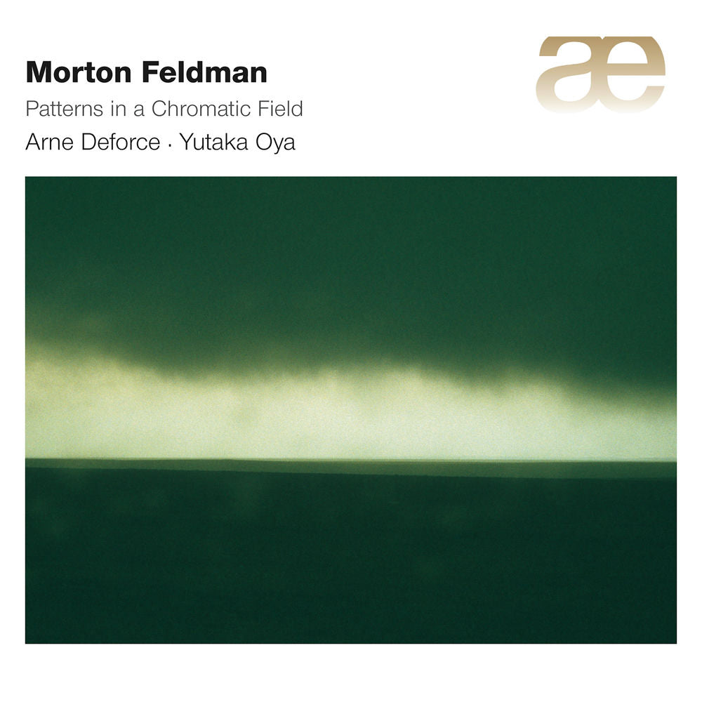 Patterns in a chromatic field - Front Cover