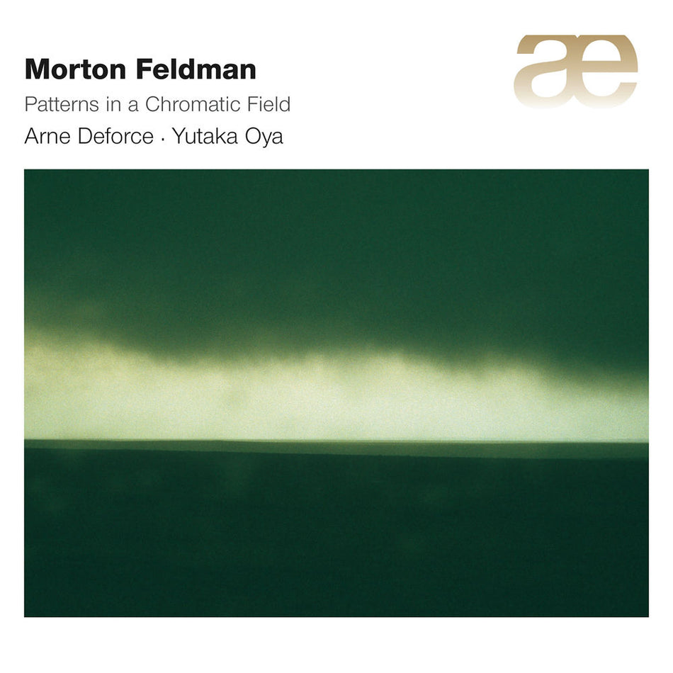 Patterns in a chromatic field - Front Cover