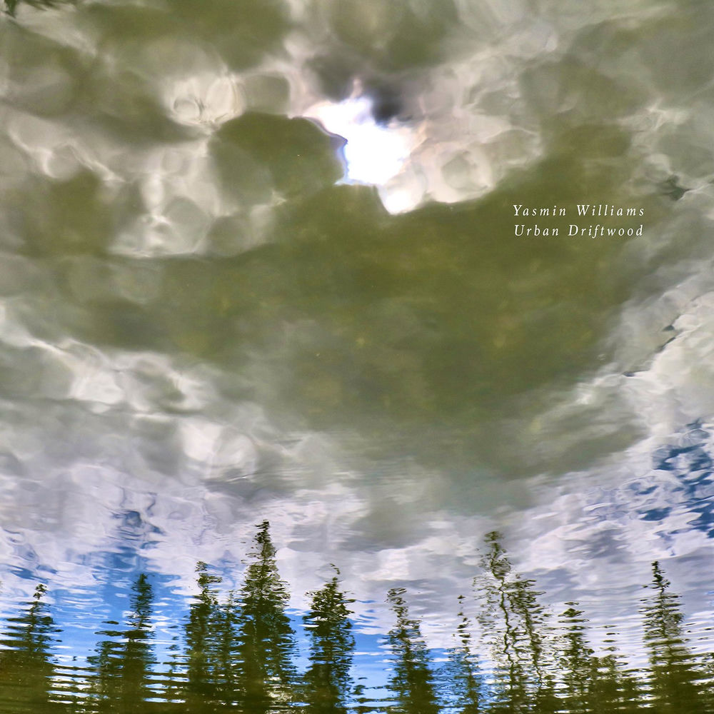 Urban Driftwood - Front Cover