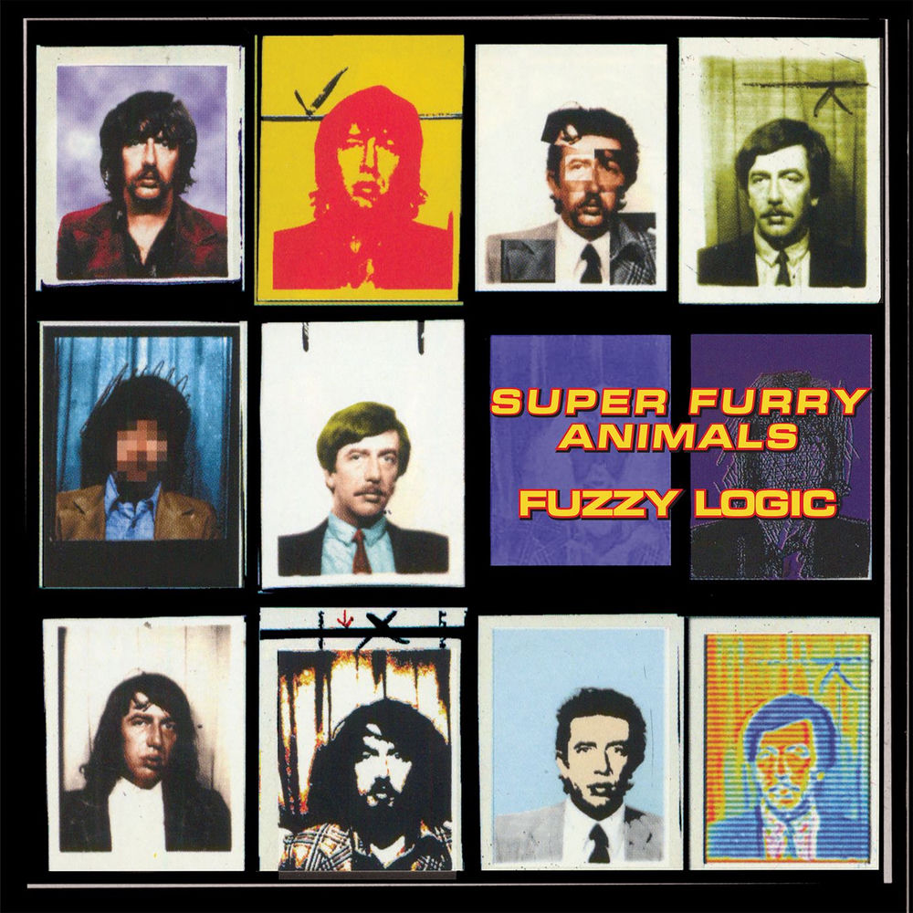 Fuzzy Logic - Front Cover