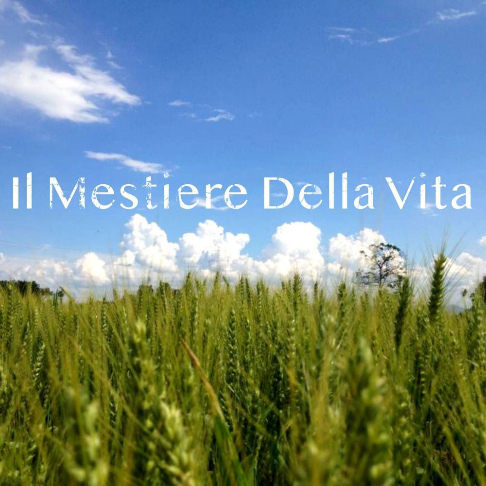 Il Mestiere Della Vita - Front Cover