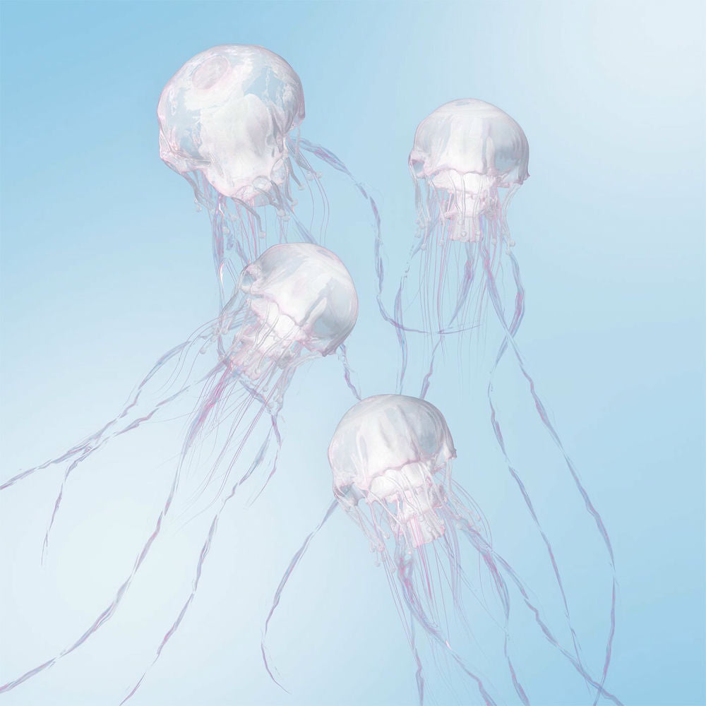 Luminous - Front Cover