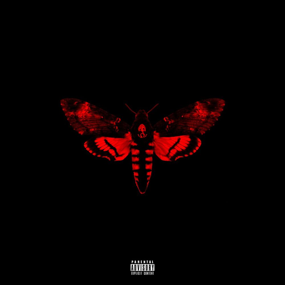 I am not a human being II - Front Cover