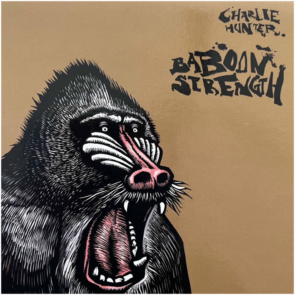 Baboon Strength - Front Cover