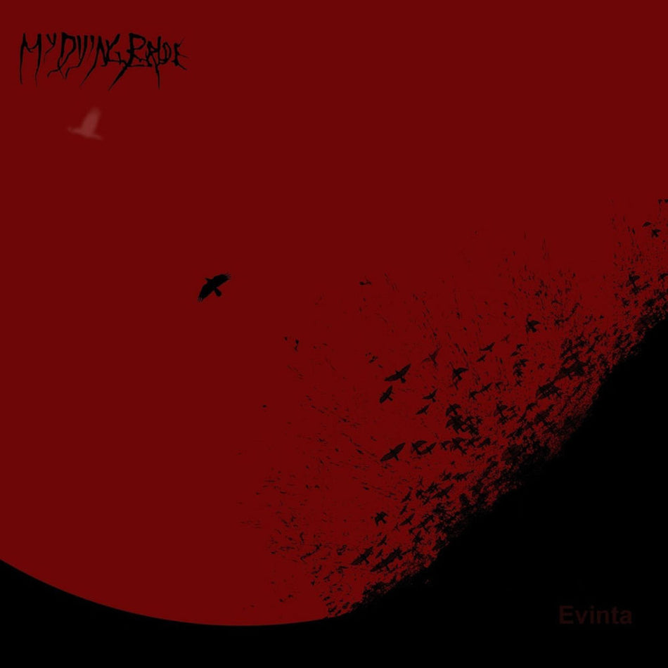 Evinta - Front Cover
