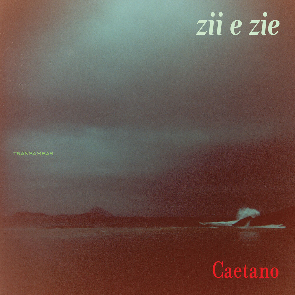 Zii e zie - Front Cover