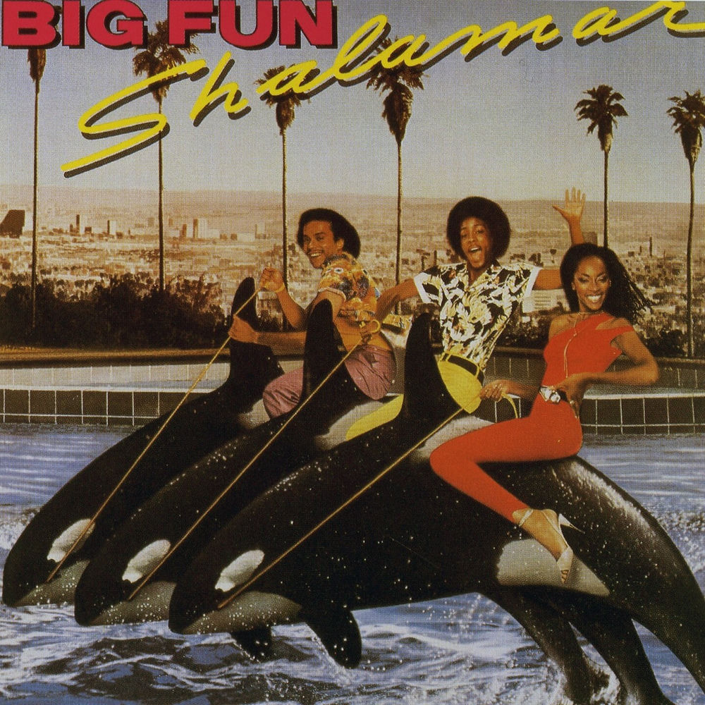 Big fun - Front Cover