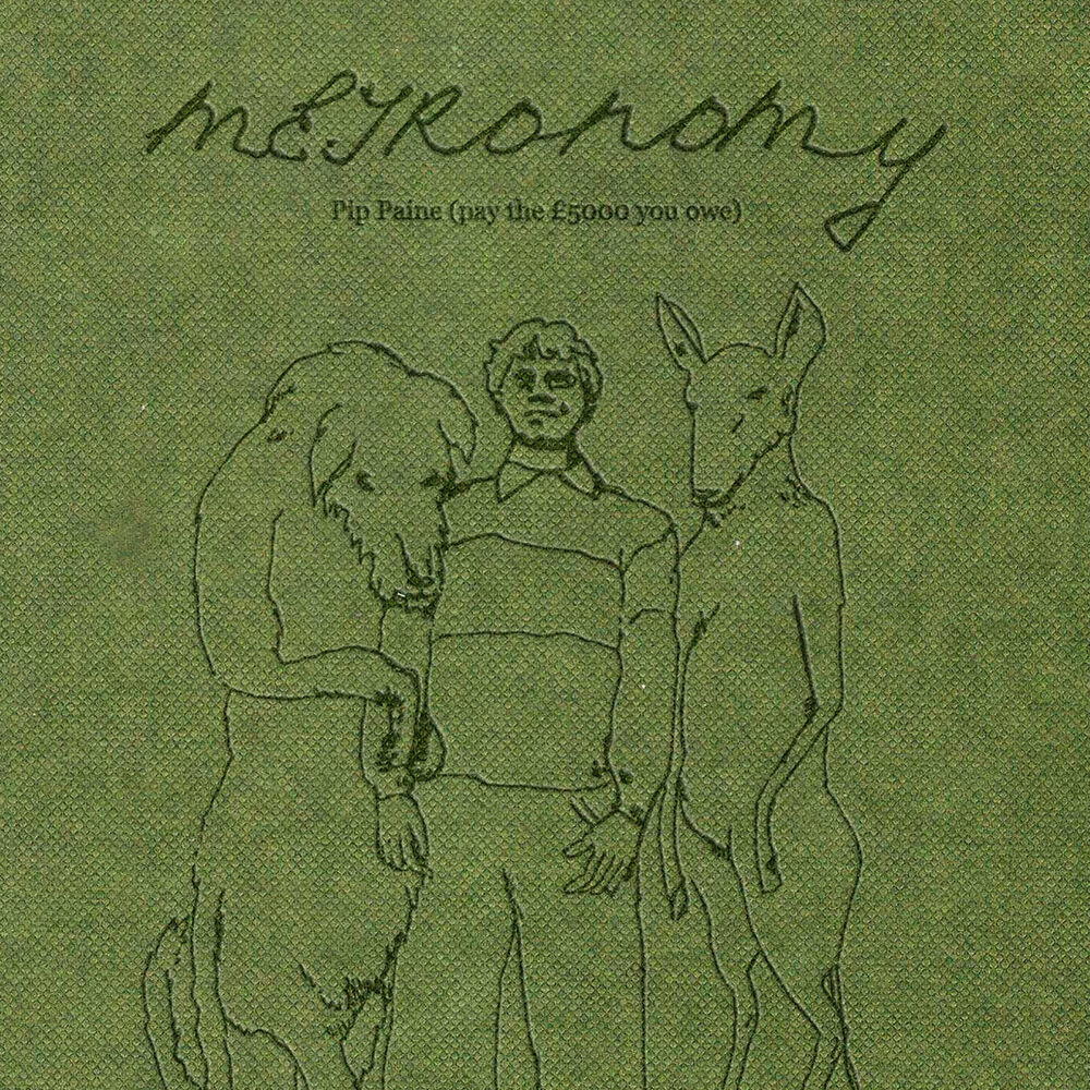 Pip paine (pay the £5000 you owe) - Front Cover