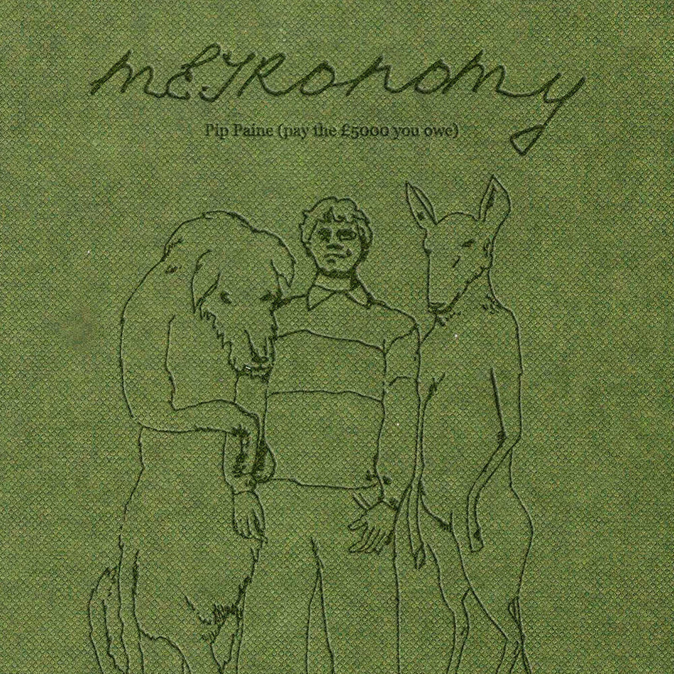 Pip paine (pay the £5000 you owe) - Front Cover